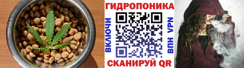 hydra ссылки  Владивосток  Canna-Cookies марихуана  сколько стоит 