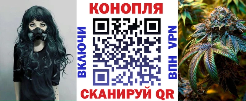 магазин продажи наркотиков  ссылка на мегу ссылки  Бошки Шишки ГИДРОПОН  Владивосток 